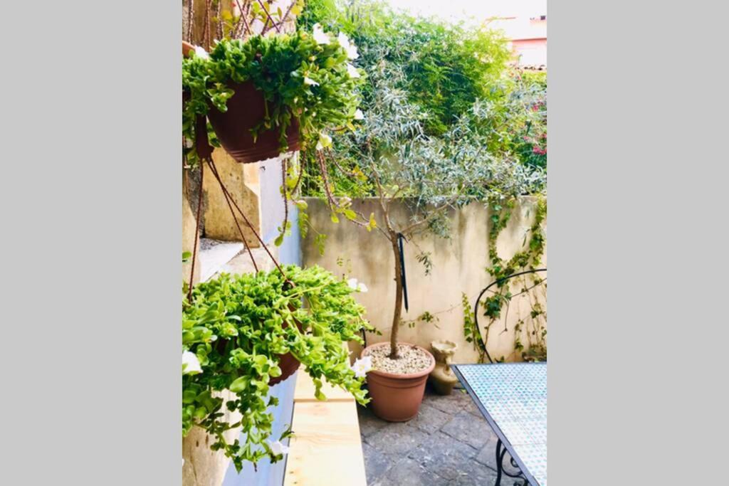 הוילה קטאניה Oli'S Charming House מראה חיצוני תמונה